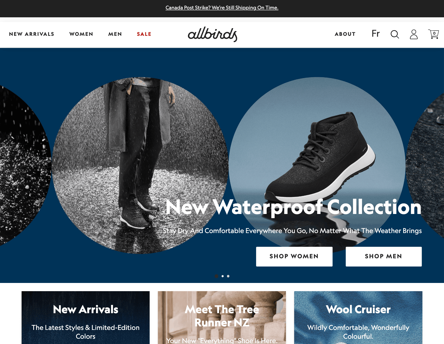 Allbirds screenshot